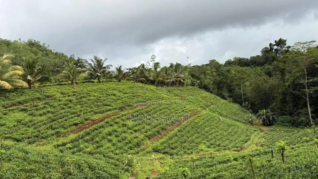 🌿 EXCLUSIVE ECO / AGRO TOURISM ESTATE FOR SALE–BULATHSINHALA