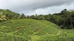 🌿 EXCLUSIVE ECO / AGRO TOURISM ESTATE FOR SALE–BULATHSINHALA