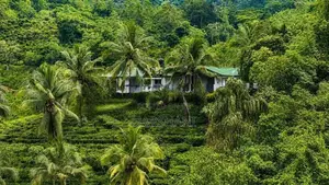 🌿 EXCLUSIVE ECO / AGRO TOURISM ESTATE FOR SALE–BULATHSINHALA
