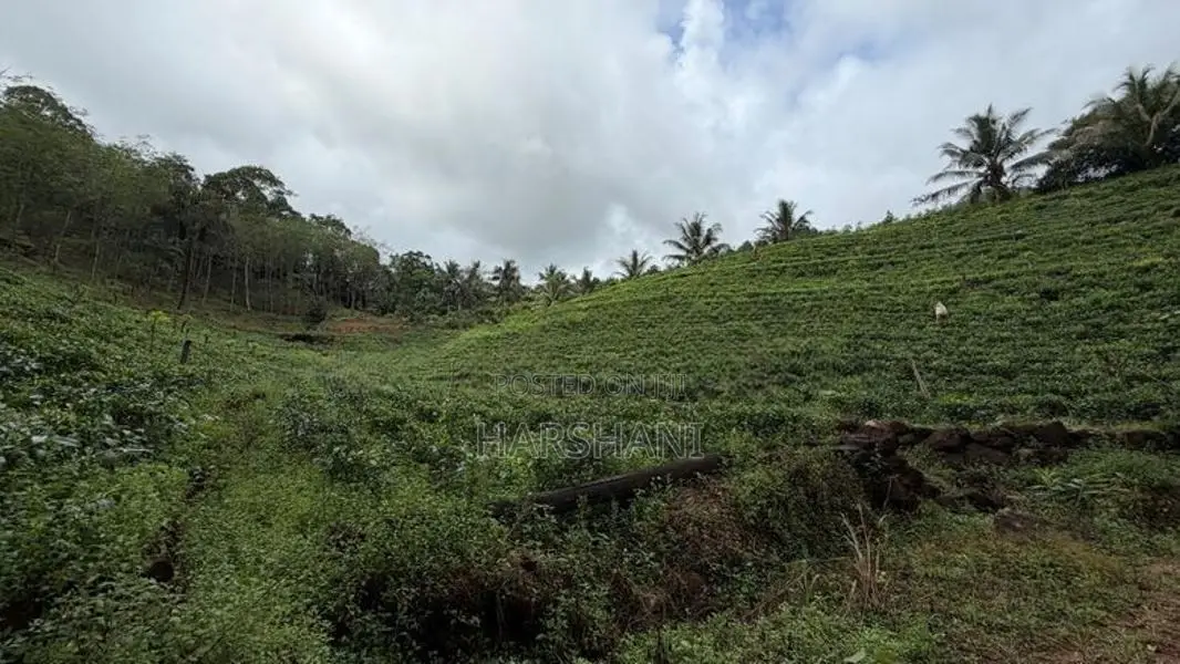 🌿 EXCLUSIVE ECO / AGRO TOURISM ESTATE FOR SALE–BULATHSINHALA