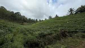 🌿 EXCLUSIVE ECO / AGRO TOURISM ESTATE FOR SALE–BULATHSINHALA