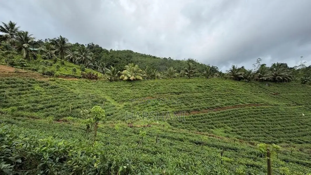 🌿 EXCLUSIVE ECO / AGRO TOURISM ESTATE FOR SALE–BULATHSINHALA