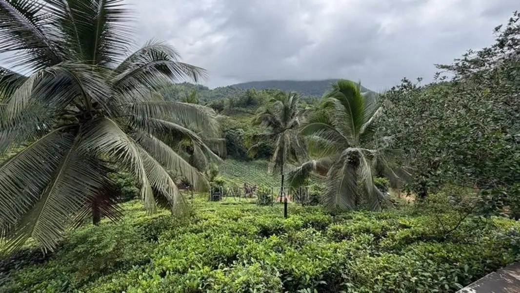 🌿 EXCLUSIVE ECO / AGRO TOURISM ESTATE FOR SALE–BULATHSINHALA
