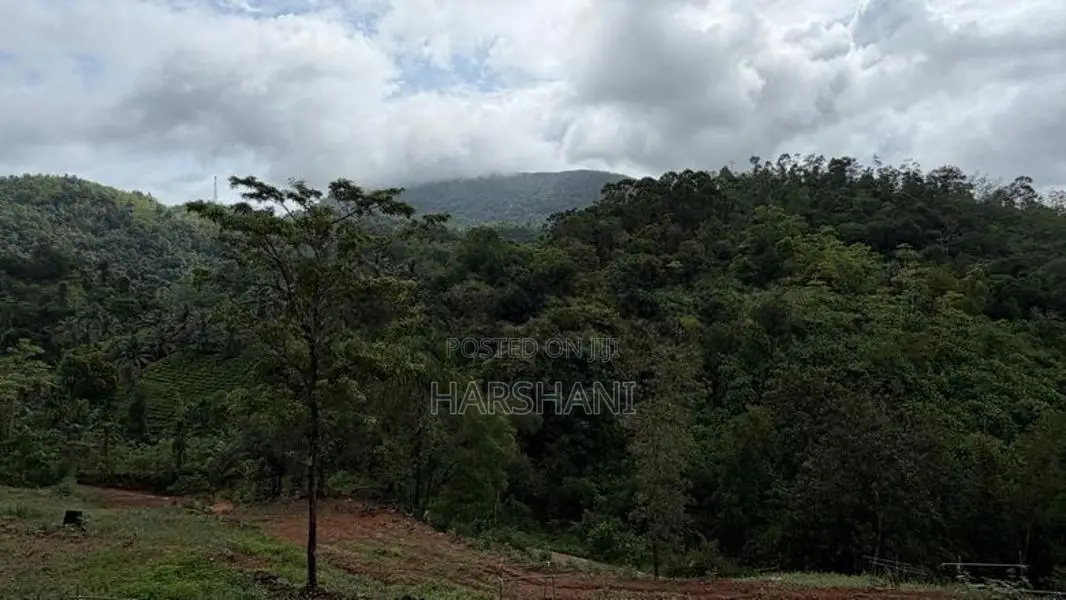 🌿 EXCLUSIVE ECO / AGRO TOURISM ESTATE FOR SALE–BULATHSINHALA