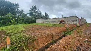 Land For Sale In Gonapala