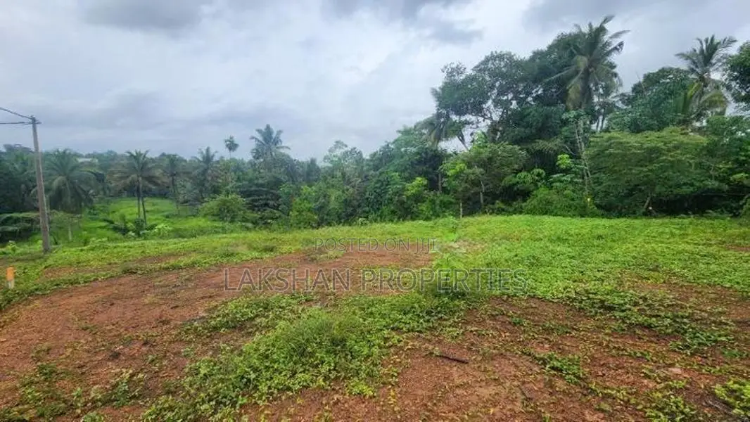 Land For Sale In Gonapala