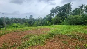 Land For Sale In Gonapala