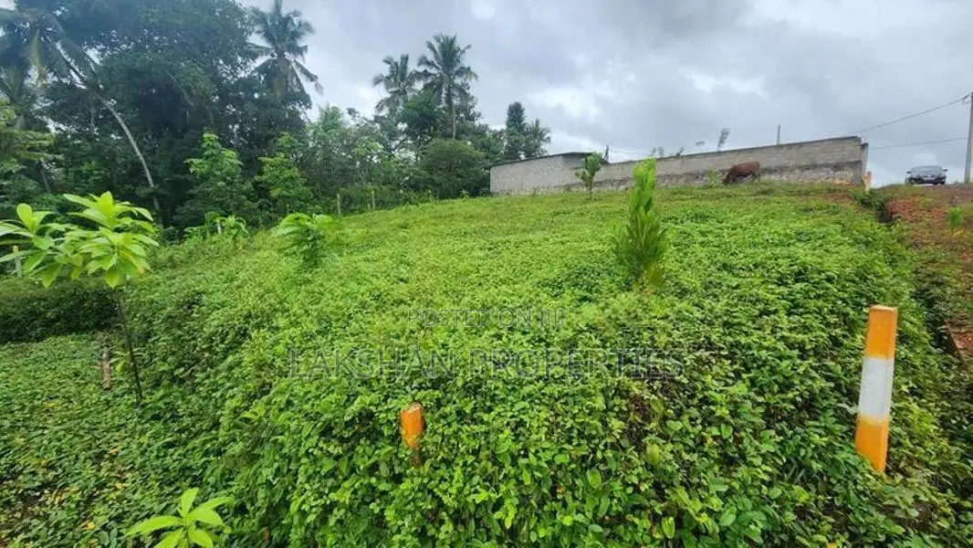 Land For Sale In Gonapala