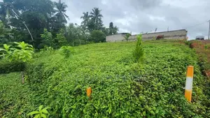 Land For Sale In Gonapala