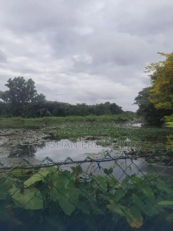 Land For Sale In Boralesgamuwa Aberathna Mawatha