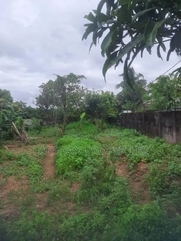 Land For Sale In Boralesgamuwa Aberathna Mawatha