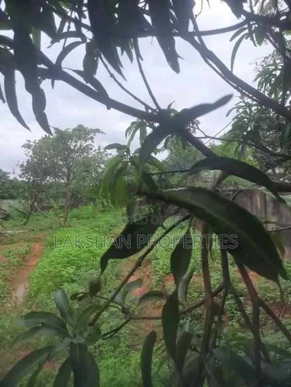 Land For Sale In Boralesgamuwa Aberathna Mawatha