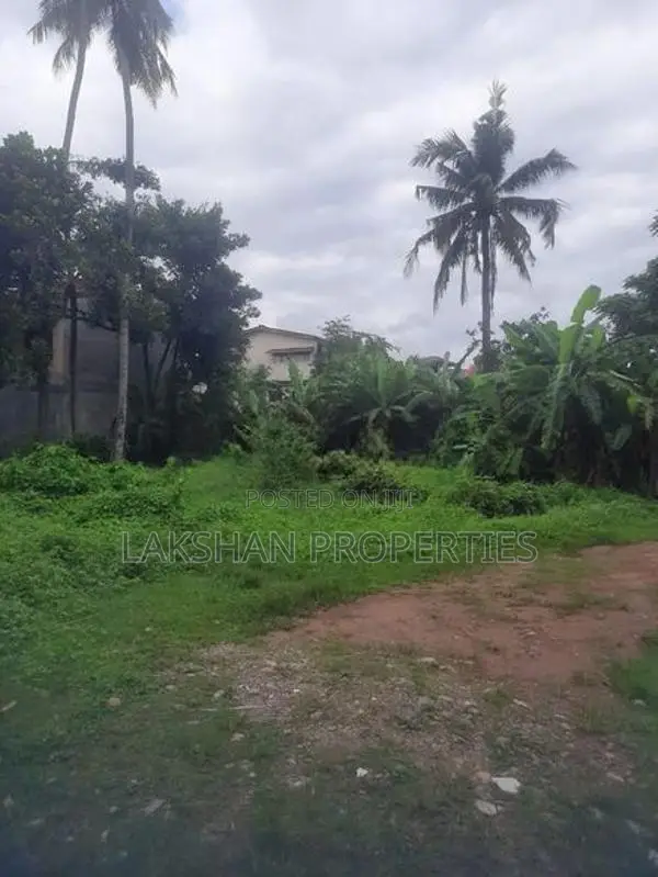 Land For Sale In Boralesgamuwa අබේරත්න මාවත