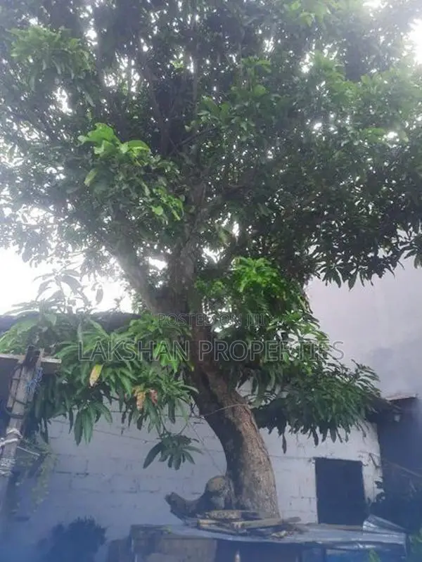 Land For Sale In Boralesgamuwa අබේරත්න මාවත