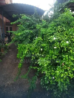 Land For Sale In Dehiwala