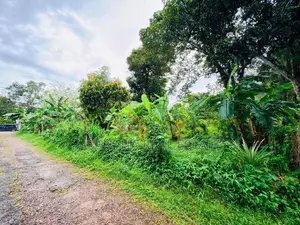 (AFA164) 40 P Bare Land Sale At Temple Road Thalawathugoda