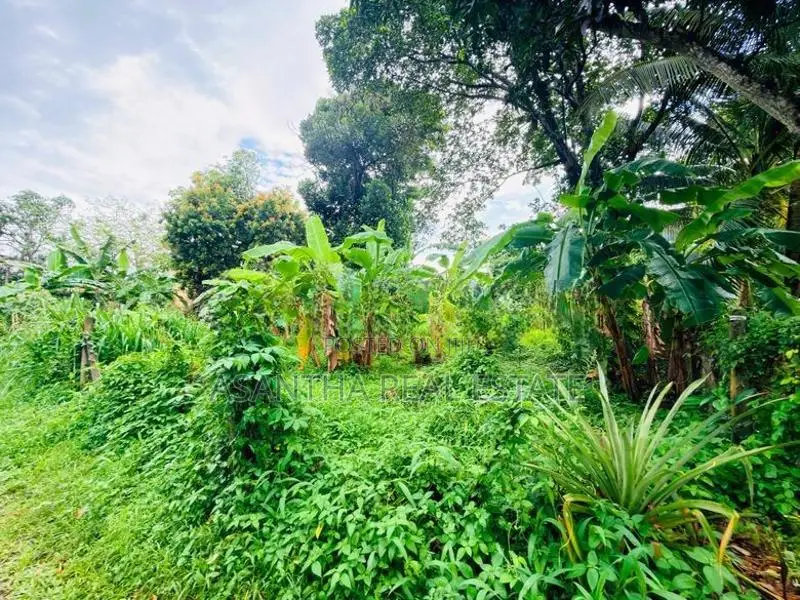 (AFA164) 40 P Bare Land Sale At Temple Road Thalawathugoda