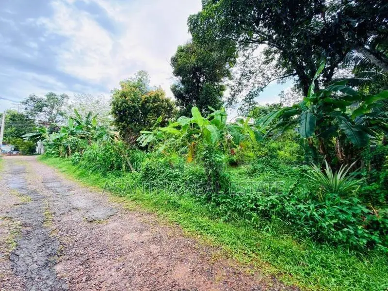 (AFA164) 40 P Bare Land Sale At Temple Road Thalawathugoda