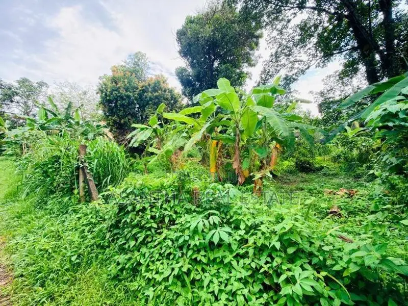 (AFA164) 40 P Bare Land Sale At Temple Road Thalawathugoda