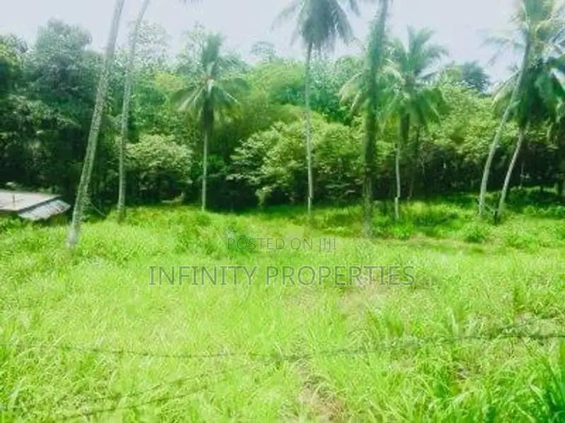 (AFA175) 171. 31 P Commercial Land for Sale Facing Main Road Padduka