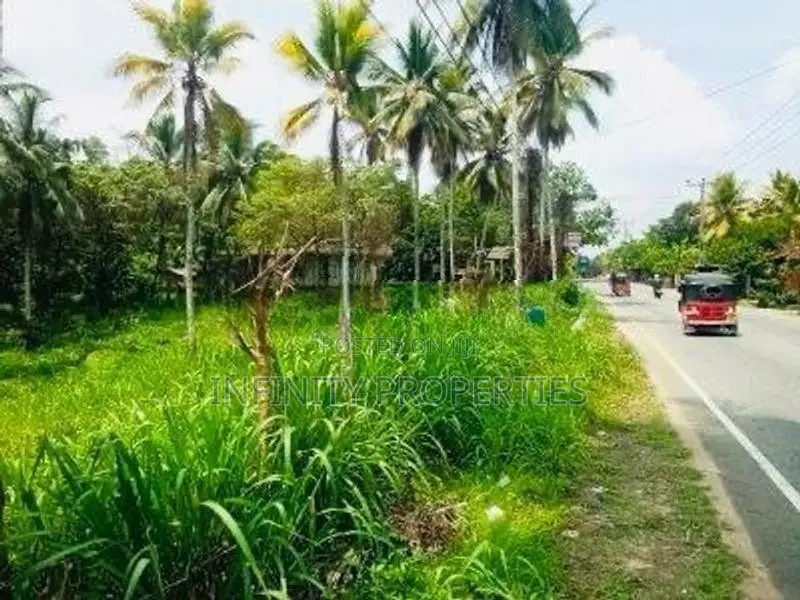 (AFA175) 171. 31 P Commercial Land for Sale Facing Main Road Padduka