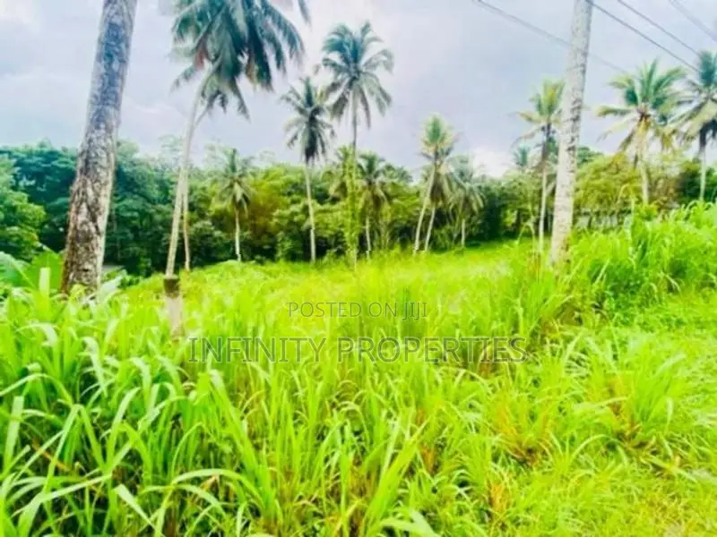 (AFA175) 171. 31 P Commercial Land for Sale Facing Main Road Padduka