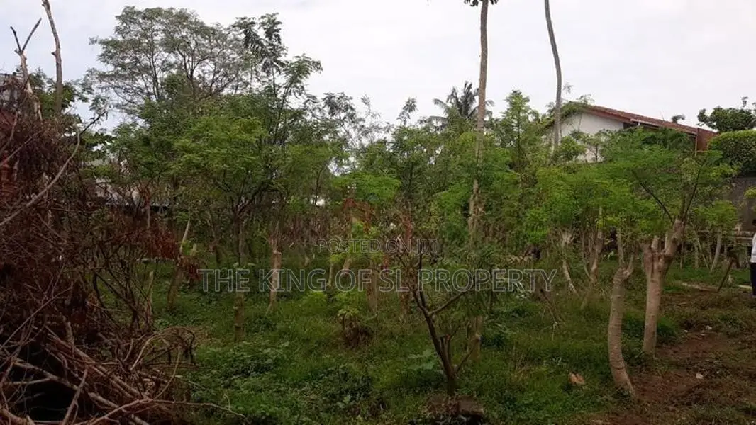 Land for Sale in Kalubowila