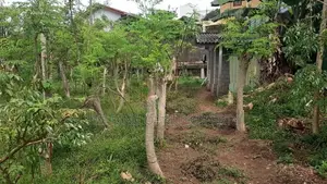 Land for Sale in Kalubowila