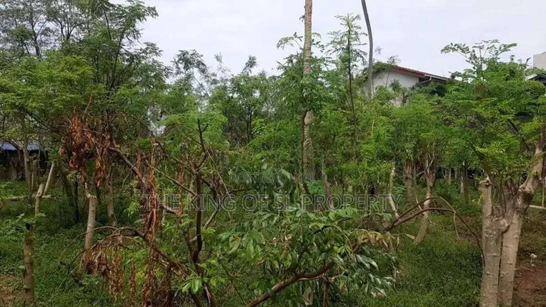 Land for Sale in Kalubowila