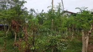 Land for Sale in Kalubowila