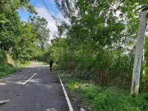 Ella Wallawaya 262 Perches Bare Land For Sale