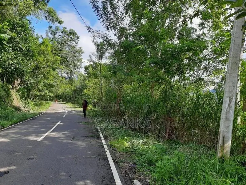 Ella Wallawaya 262 Perches Bare Land For Sale