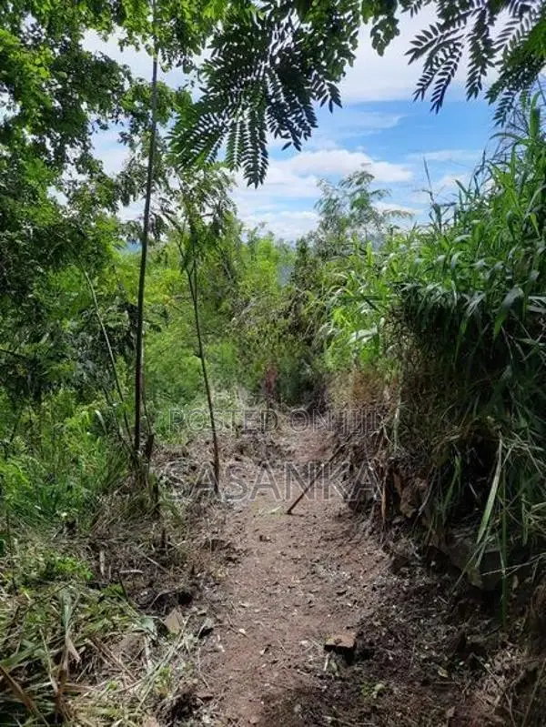 Ella Wallawaya 262 Perches Bare Land For Sale