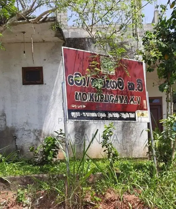 Ella Wallawaya 262 Perches Bare Land For Sale