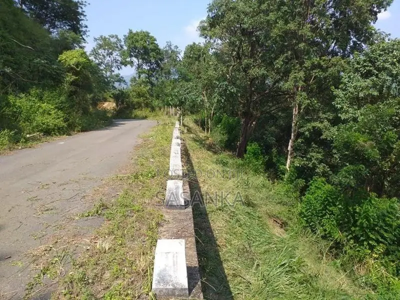 Ella Wallawaya 262 Perches Bare Land For Sale