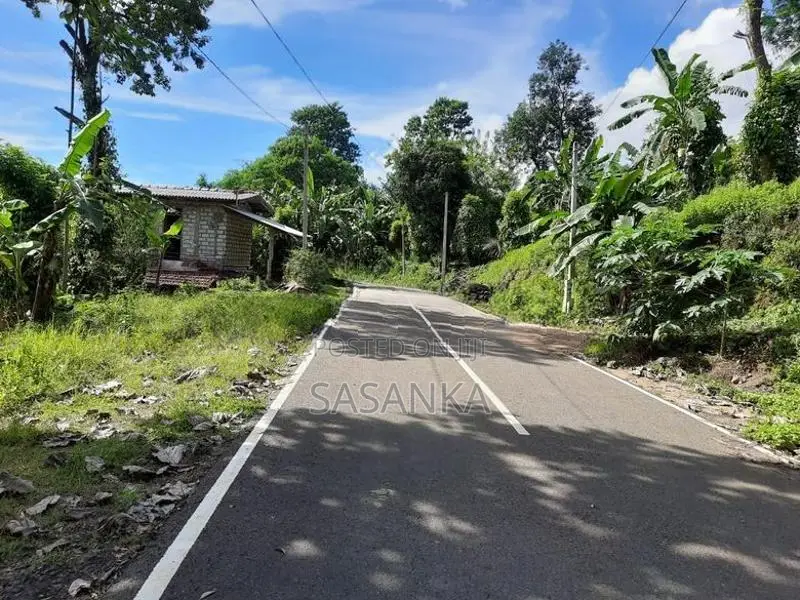 Ella Wallawaya 262 Perches Bare Land For Sale