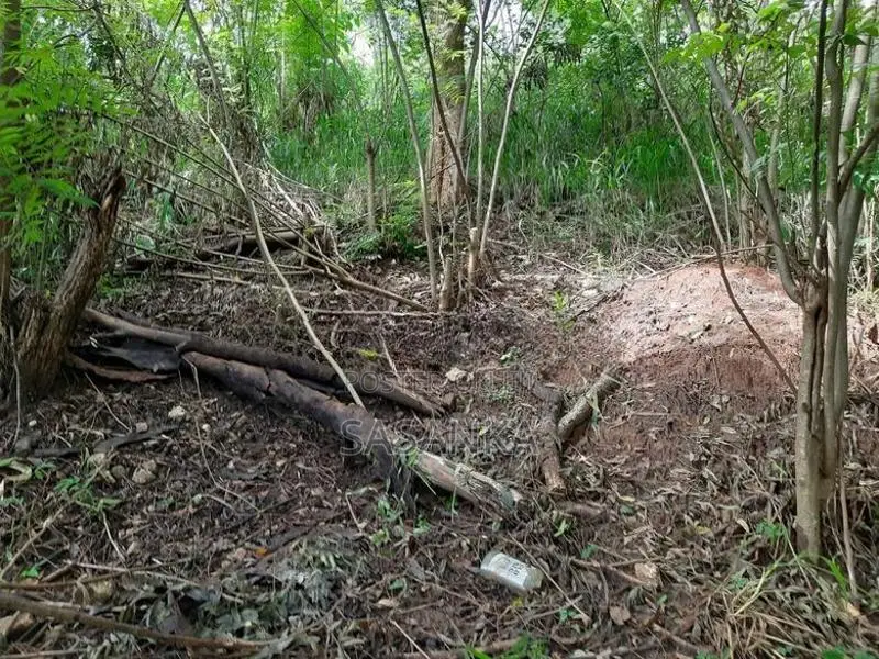 Ella Wallawaya 262 Perches Bare Land For Sale