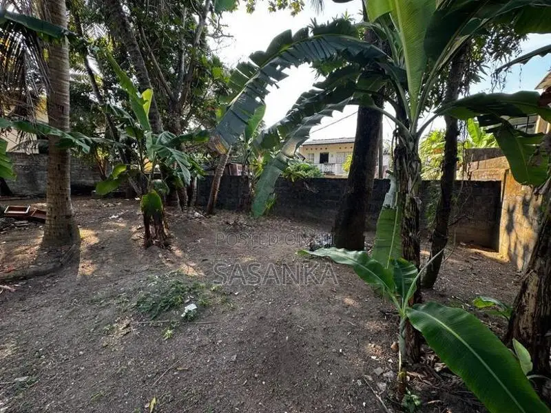 Dehiwala Parakum Mawatha 7 Perches Land For sale