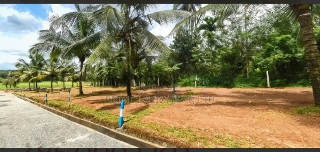 නේවාසික බිම් කොටස් විකිණීම