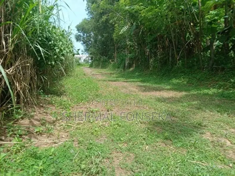 Minuwangoda Katuwallegama Aluthapola Main Road Facing Land for Sale