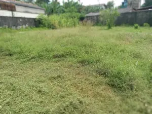 COMMERCIAL LAND FOR RENT IN COLOMBO 05 (SP245)
