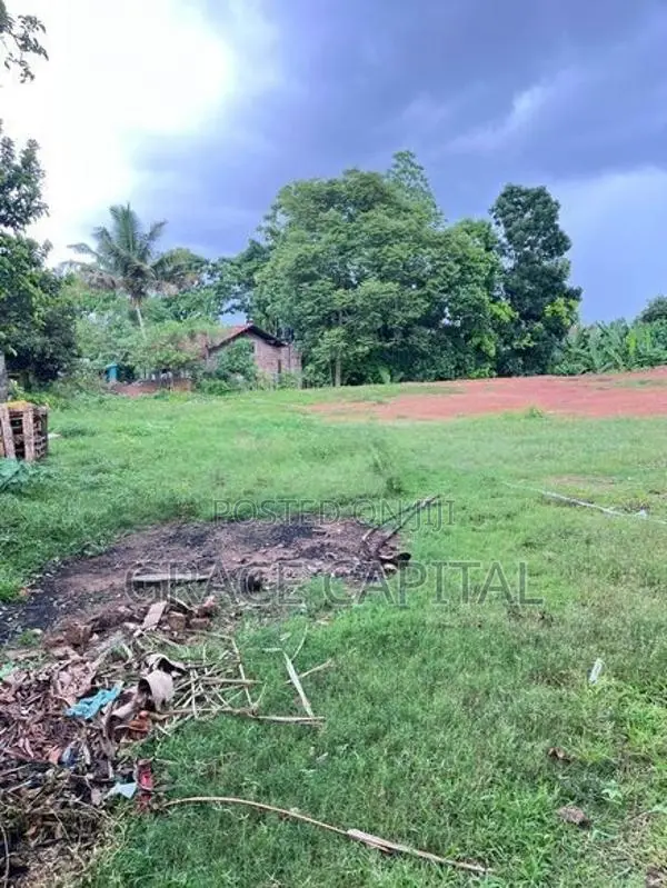 Solid land for sale