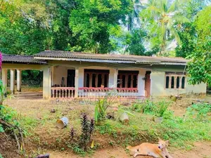 📢 පර්චස් 57 ක සුවිශාල ඉඩම සහ නිවස ලක්ෂ 73 යි