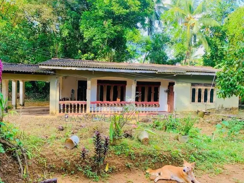 📢 පර්චස් 57 ක සුවිශාල ඉඩම සහ නිවස ලක්ෂ 73 යි