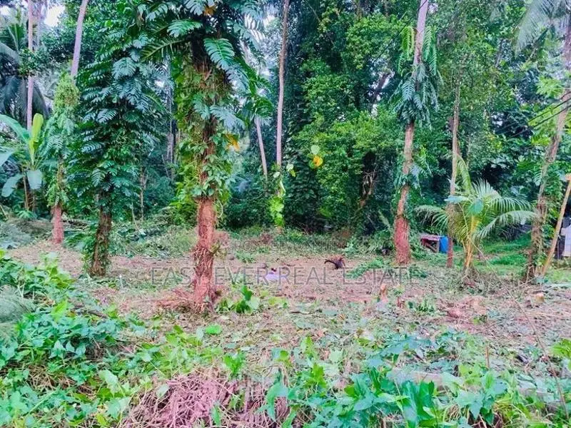 📢 පර්චස් 57 ක සුවිශාල ඉඩම සහ නිවස ලක්ෂ 73 යි