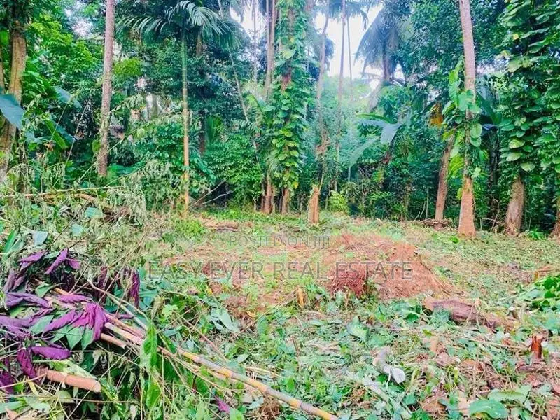 📢 පර්චස් 57 ක සුවිශාල ඉඩම සහ නිවස ලක්ෂ 73 යි