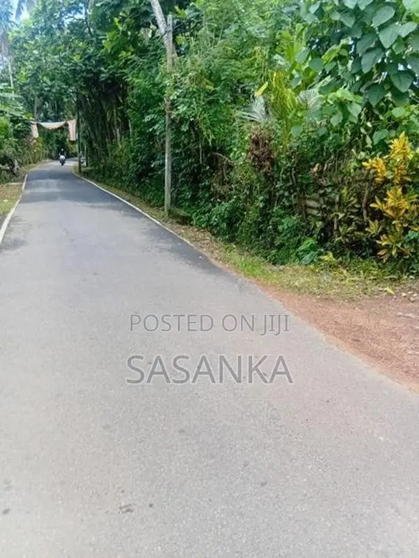 කෑස්බෑව බණ්ඩාරගම පාර මාකන්දන පර්චස් 63 ඉඩම විකිණීමට