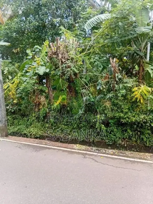 කෑස්බෑව බණ්ඩාරගම පාර මාකන්දන පර්චස් 63 ඉඩම විකිණීමට