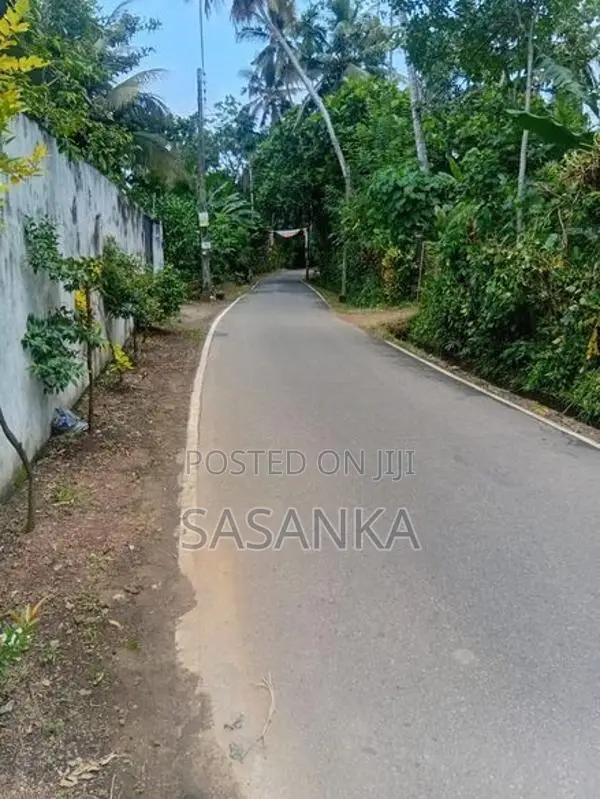 කෑස්බෑව බණ්ඩාරගම පාර මාකන්දන පර්චස් 63 ඉඩම විකිණීමට