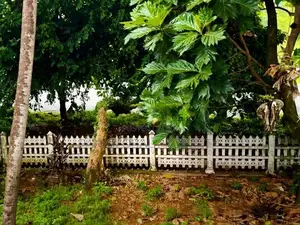 Land for Sale in Battaramulla